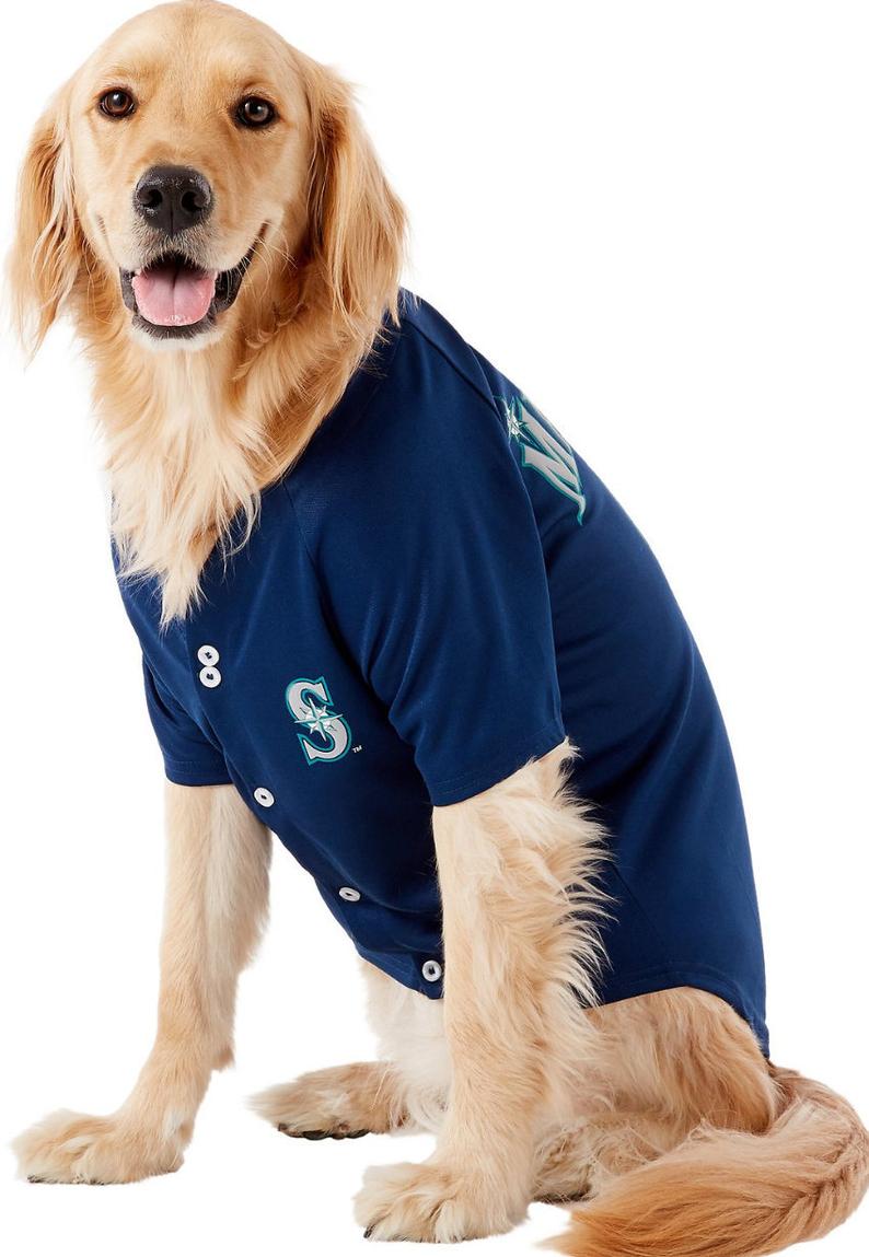 Mariners dog jersey store