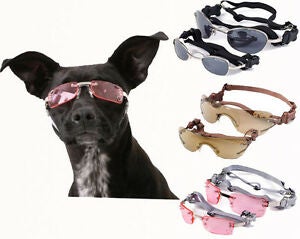 Doggles K9 Optix