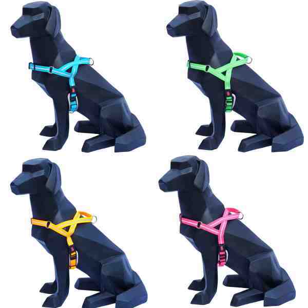 Wigzi sales waterproof collar