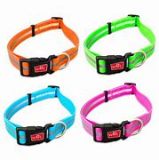 Wigzi dog collar sale