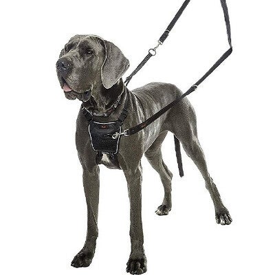Dog harness halti discount