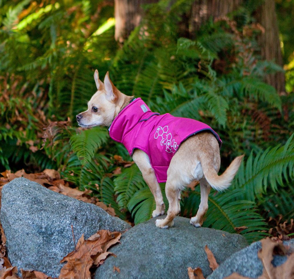 Rc dog coat store